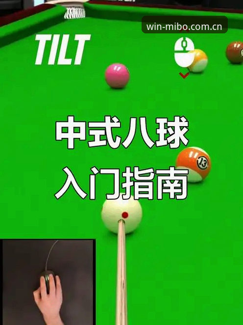揭秘2026米博体育平台入口：新手也能轻松上手的完整指南